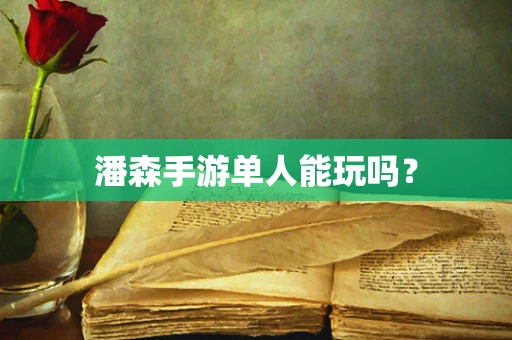 潘森手游单人能玩吗？