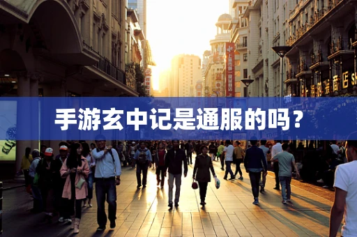 手游玄中记是通服的吗？