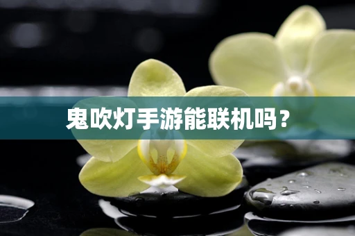 鬼吹灯手游能联机吗？