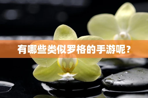 有哪些类似罗格的手游呢？