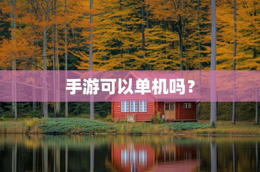 手游可以单机吗？