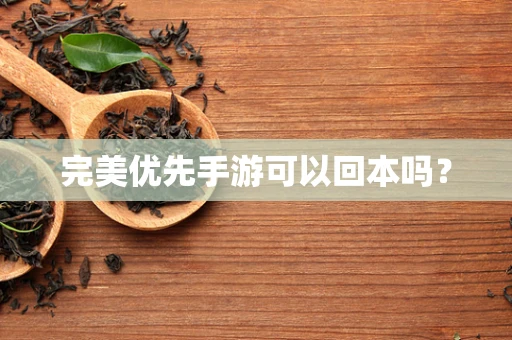 完美优先手游可以回本吗？