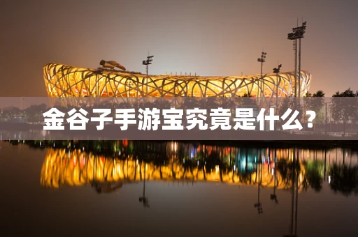 金谷子手游宝究竟是什么？