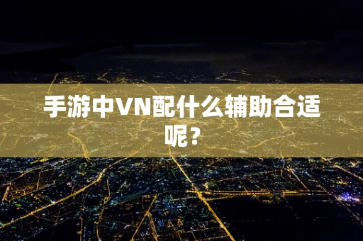 手游中VN配什么辅助合适呢？