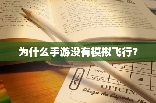 为什么手游没有模拟飞行？