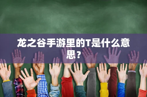 龙之谷手游里的T是什么意思？
