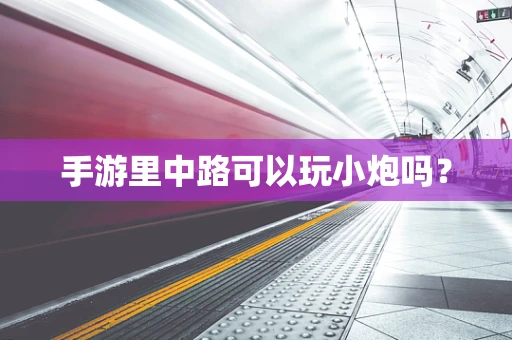 手游里中路可以玩小炮吗？