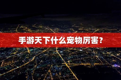 手游天下什么宠物厉害？