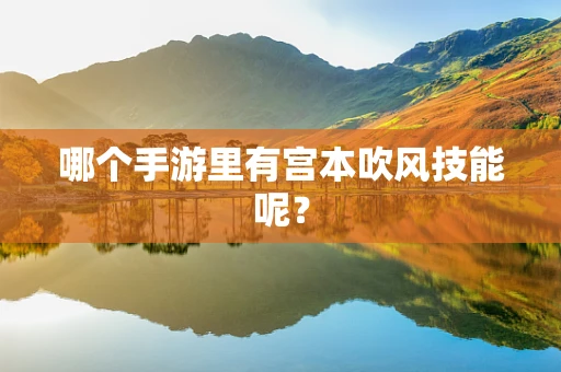 哪个手游里有宫本吹风技能呢？