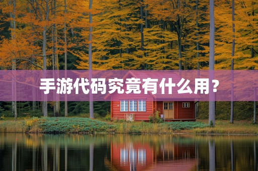 手游代码究竟有什么用？