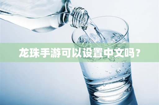 龙珠手游可以设置中文吗？