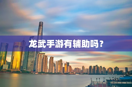 龙武手游有辅助吗？