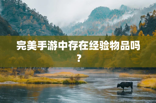 完美手游中存在经验物品吗？