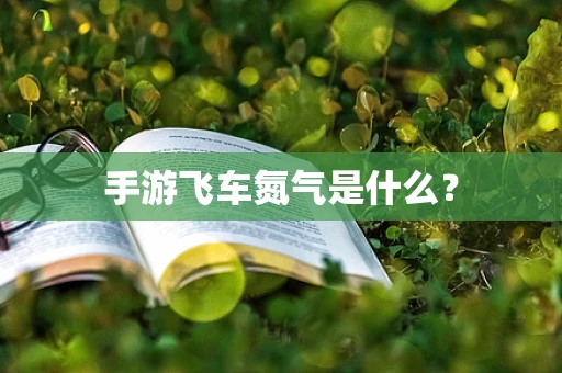 手游飞车氮气是什么？