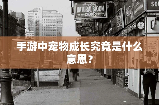 手游中宠物成长究竟是什么意思？