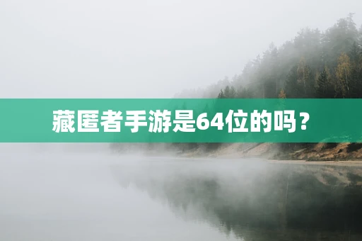 藏匿者手游是64位的吗？