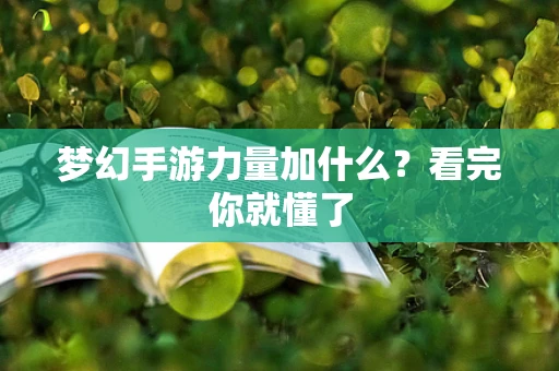 梦幻手游力量加什么？看完你就懂了