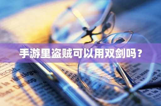 手游里盗贼可以用双剑吗？