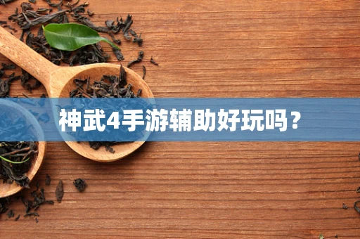 神武4手游辅助好玩吗？