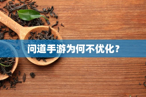 问道手游为何不优化？