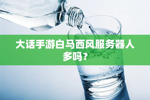 大话手游白马西风服务器人多吗？