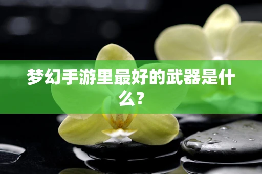 梦幻手游里最好的武器是什么？