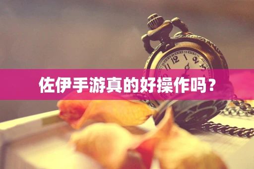 佐伊手游真的好操作吗？