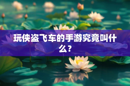玩侠盗飞车的手游究竟叫什么？