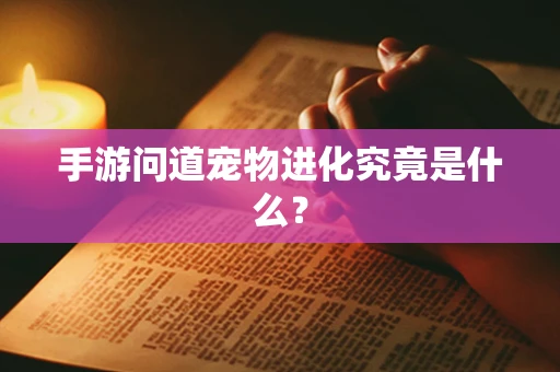 手游问道宠物进化究竟是什么？