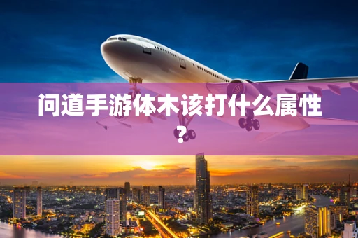 问道手游体木该打什么属性？