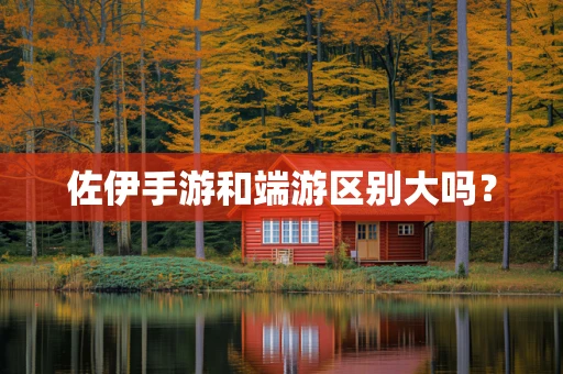 佐伊手游和端游区别大吗？