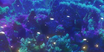 火影手游有z轴吗？